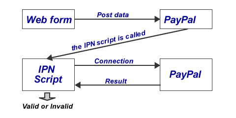 paypal process